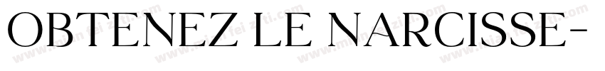Obtenez le narcisse字体转换